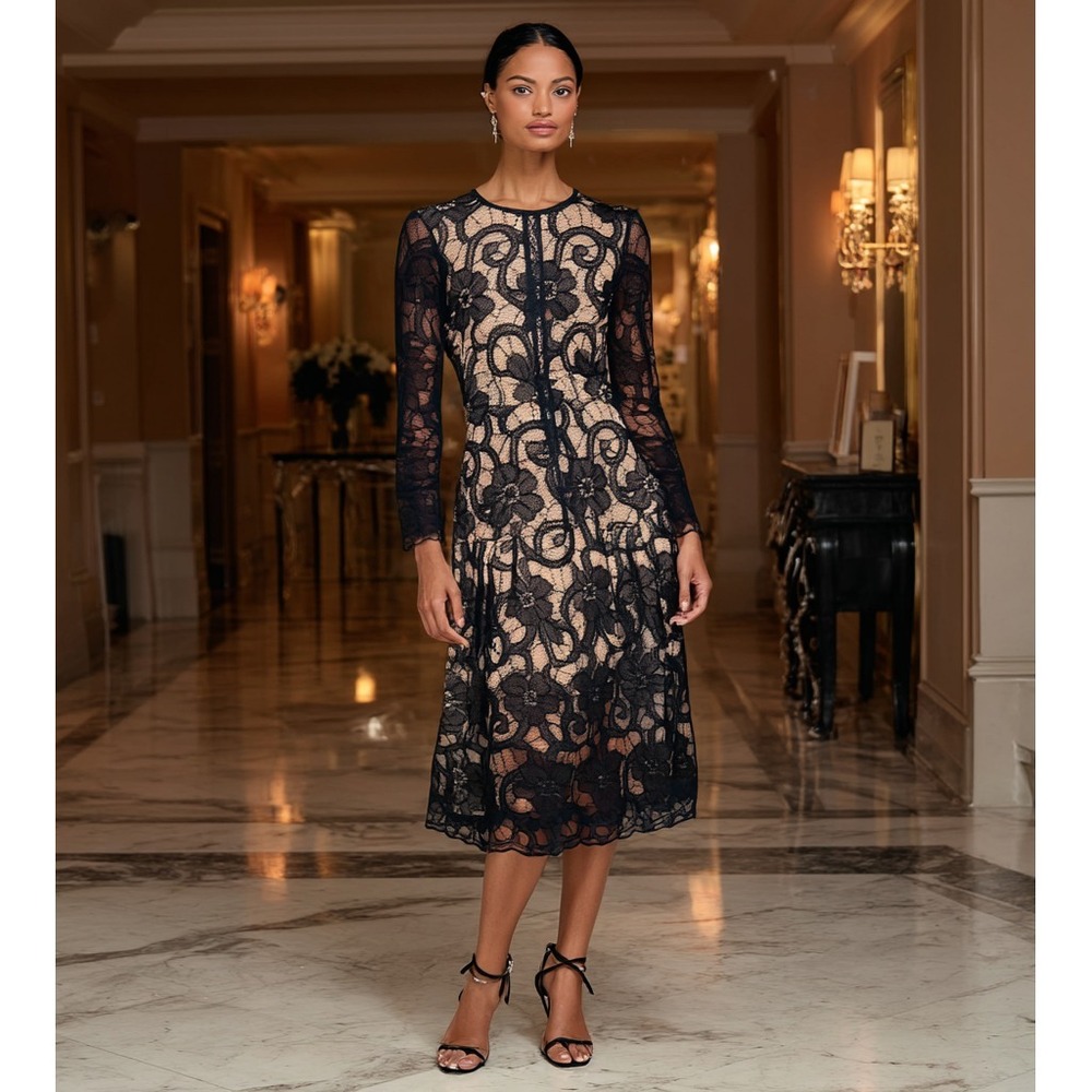 Designer Inspired Black Lace Dress Lined Sheer Overlay Long Sleeve Midi Elegant